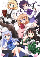 Is the order a rabbit?