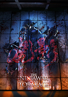 The Ninja War of TORAKAGE